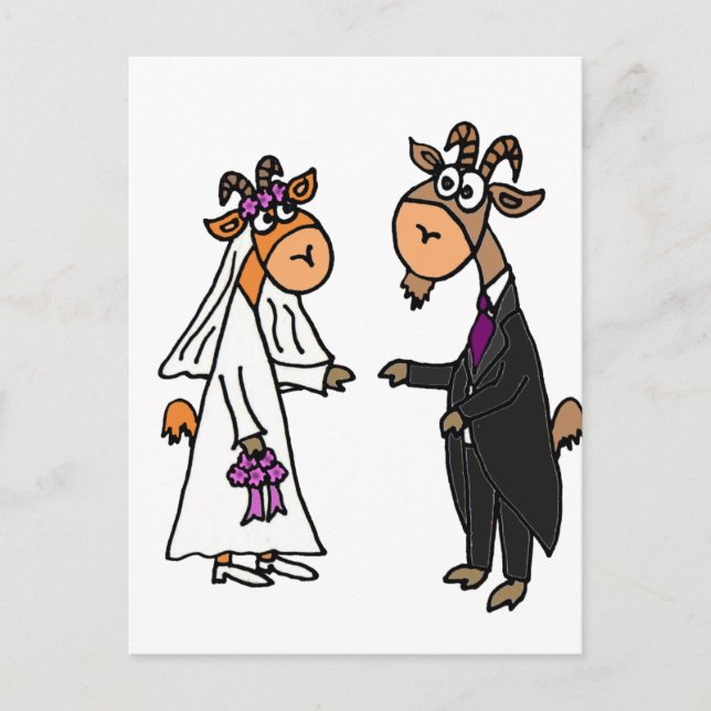 Funny Bride and Groom Goat Wedding Postcard (Front)