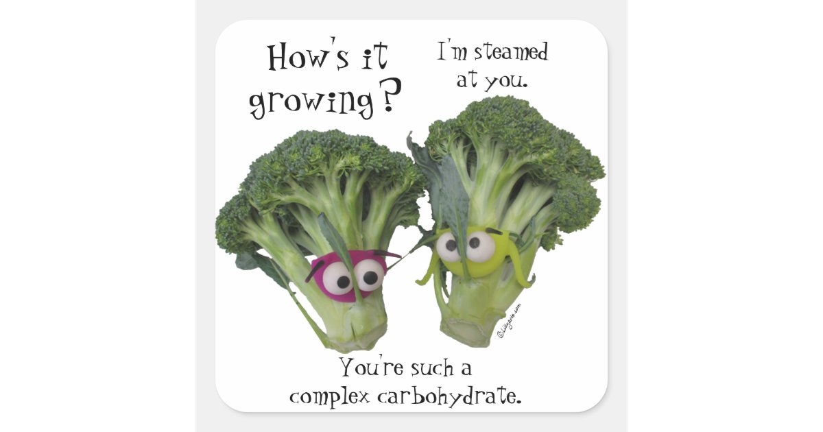 Funny Broccoli Talk Square Sticker Zazzle