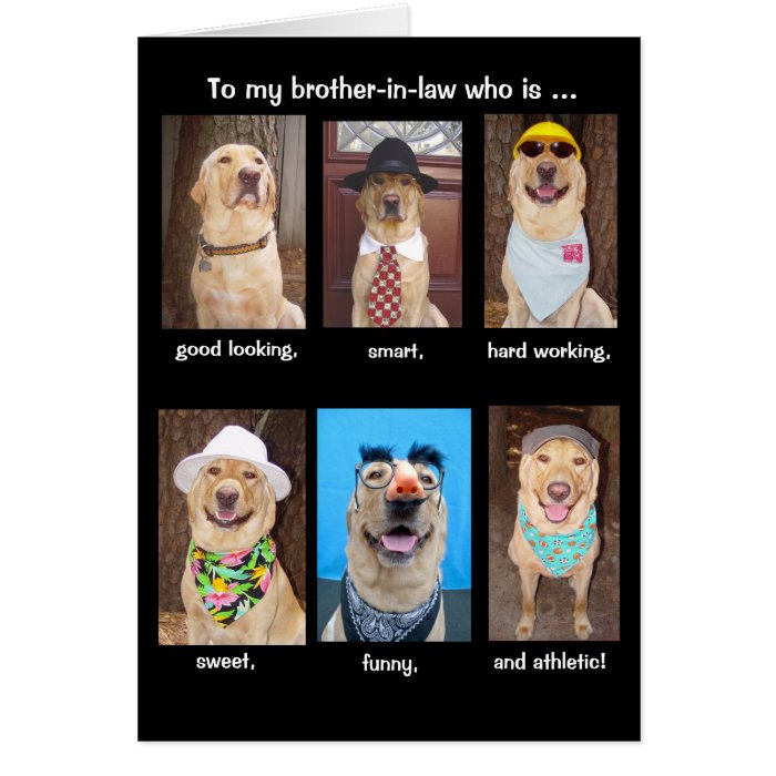 Funny Brother in law Birthday Cards