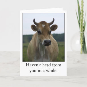Funny Brown Cow greeting card