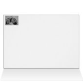 Funny brown dog slippers still life painting (Inside Horizontal (Top))