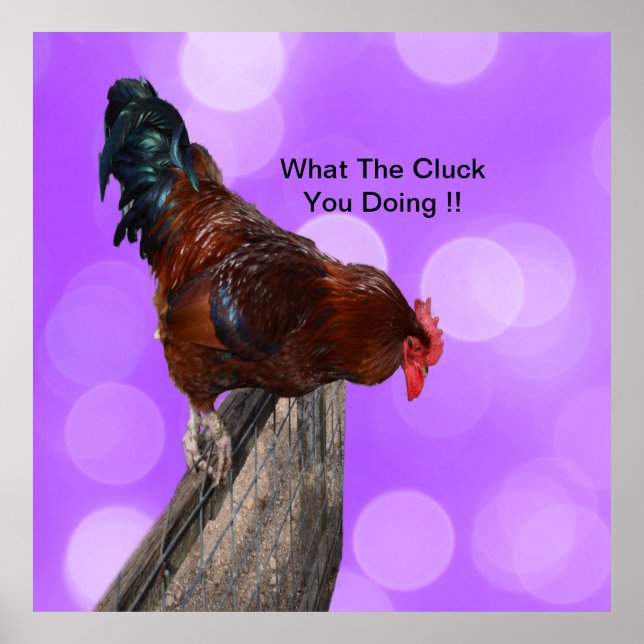 Funny Brown Rooster On A Fence Poster (Front)