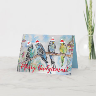 Funny Budgie Budgerigar Merry Christmas Card