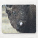 Funny Buffalo Mouse Pad