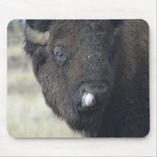 Funny Buffalo Mouse Pad