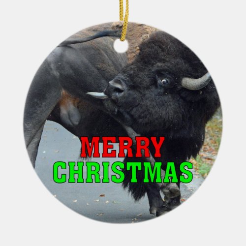 Funny Bull Bison Licking His Testicles Ceramic Ornament