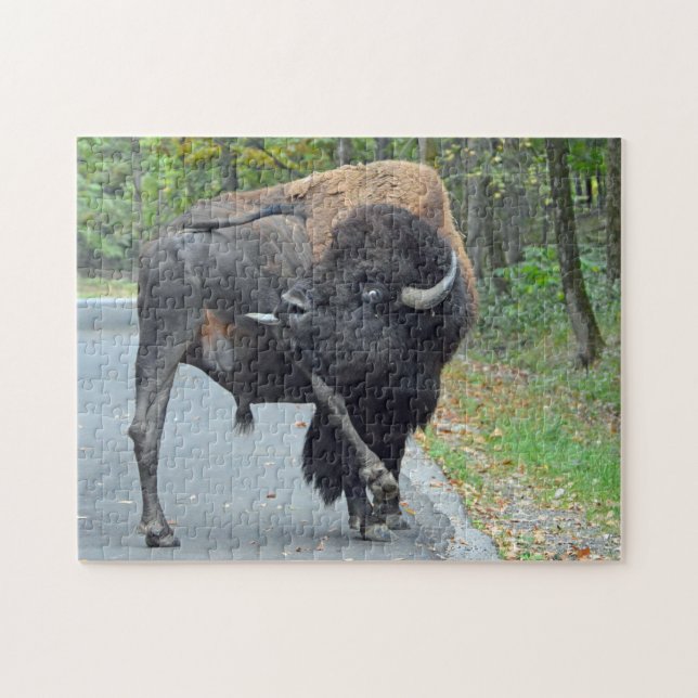 Funny Bull Bison Licking His Testicles Jigsaw Puzzle (Horizontal)