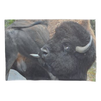 Funny Bull Bison Licking His Testicles Pillow Case by WackemArt at Zazzle