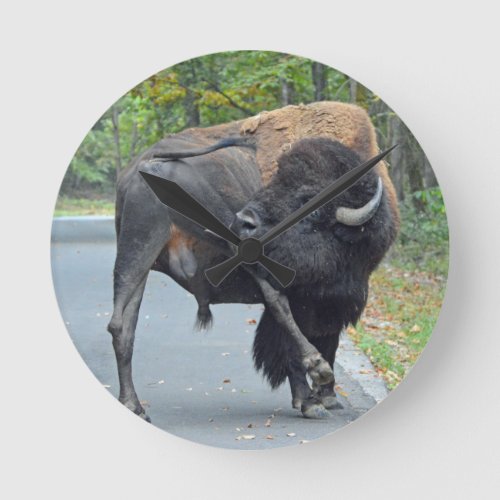 Funny Bull Bison Licking His Testicles Round Clock