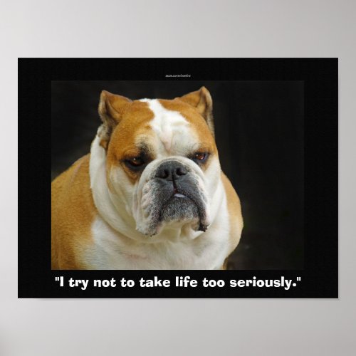 Funny Bull Dog Pet_lovers Demotivational Poster