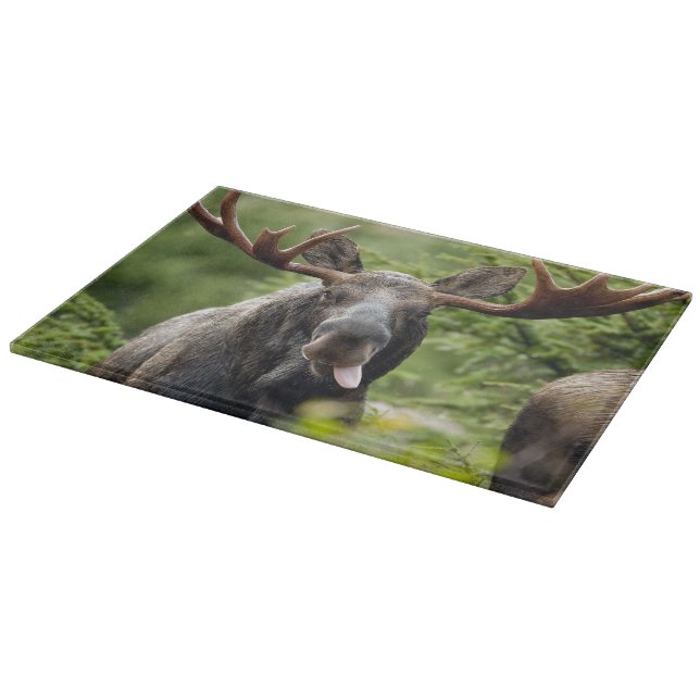 Funny Bull Moose Cutting Board (Corner)