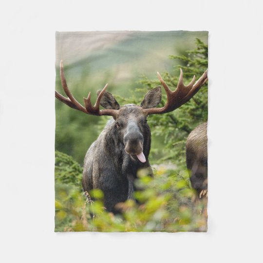 Funny Bull Moose Fleece Blanket