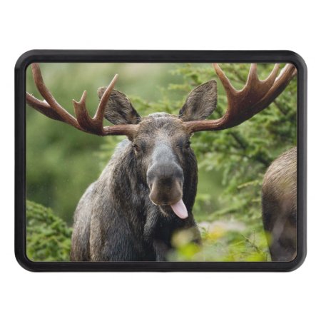 Funny Bull Moose Tow Hitch Cover