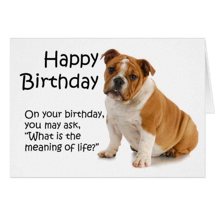 Funny Bulldog Birthday Card
