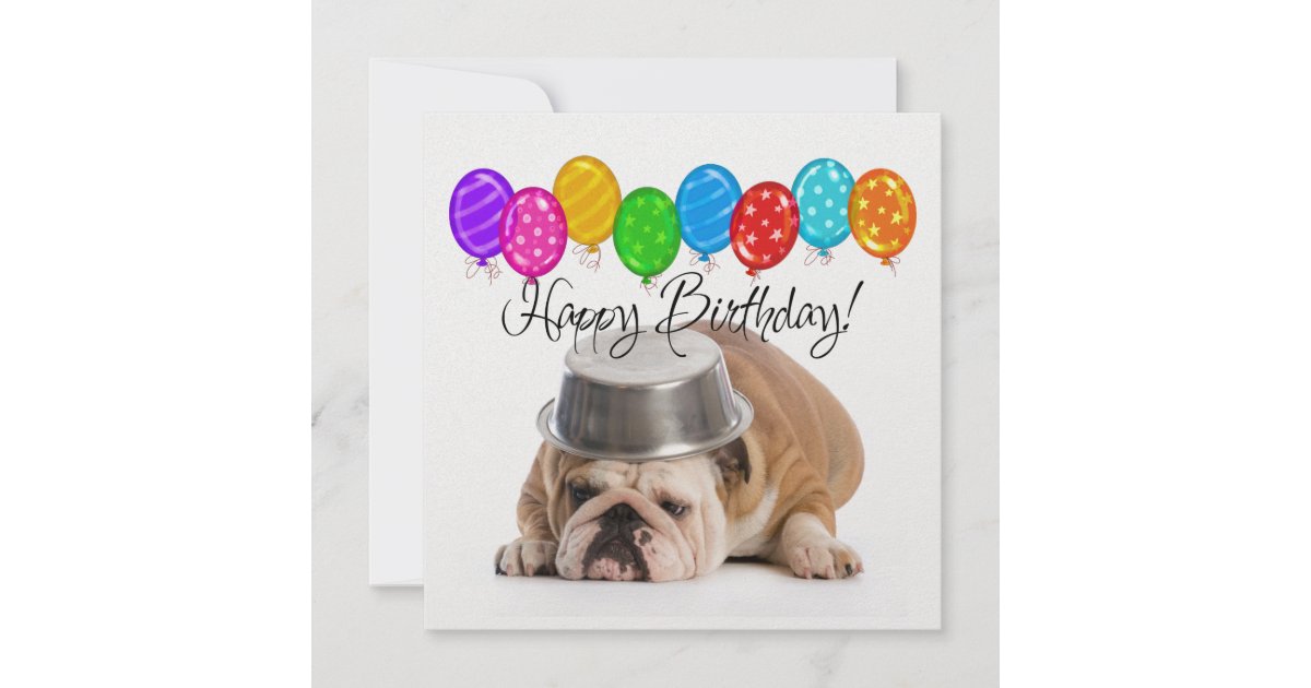 Funny Bulldog Birthday Invitation SRF Zazzle