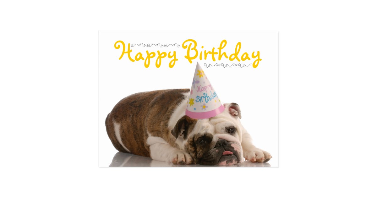 Funny Bulldog Birthday Postcard