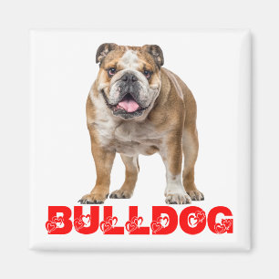 Funny Bulldog Lover Funny Bully Puppy Dog  Magnet