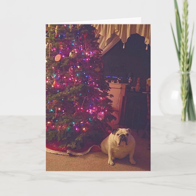 Funny Bulldog Photo Holiday Christmas Card (Front)
