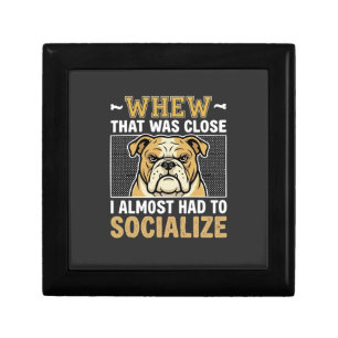 Funny Bulldog Socialize Dog Gift Box