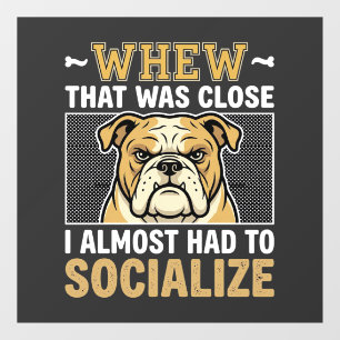 Funny Bulldog Socialize Dog Window Cling