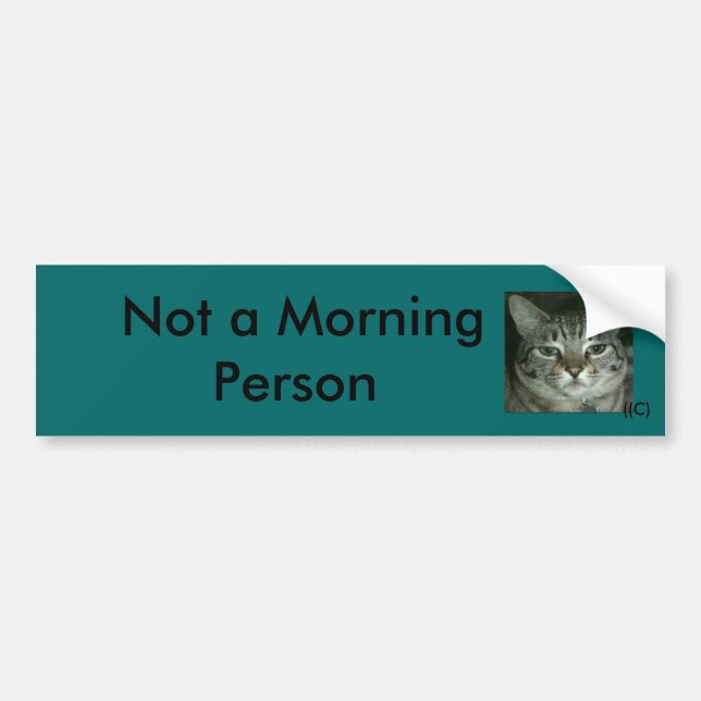 Funny Bumper Sticker (Front)