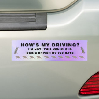 Funny Bumper Sticker - How's My Driving Rats