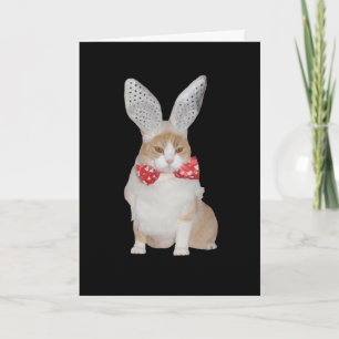 Funny Bunny Cat Valentine Holiday Card