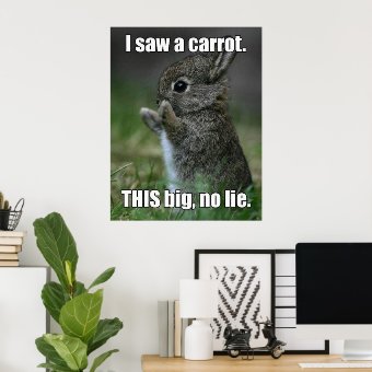 Funny Bunny Poster | Zazzle