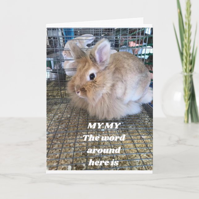 **FUNNY BUNNY** SAY HAPPY BIRTHDAY CARD (Front)