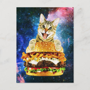 Funny burger cat space postcard