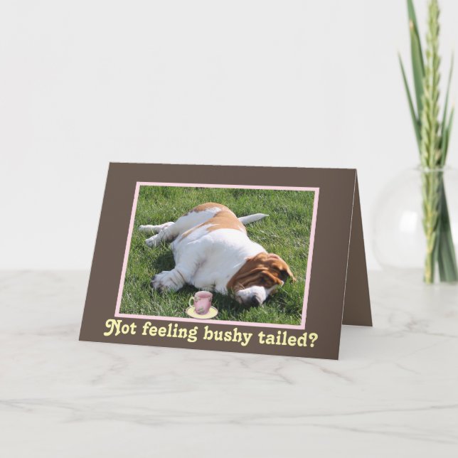 Funny Bushy Tailed "Get Well" Card w/Basset Hound (Front)
