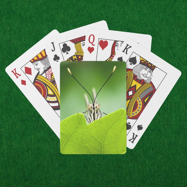 Funny Butterfly Peeks Over Leaf Poker Cards (A curious butterfly peeks over a vibrant green leaf on these nature inspired playing cards. )