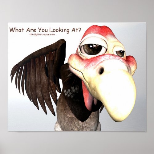 Funny Buzzard Bird What Are You Looking At Poster