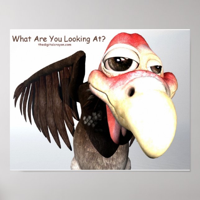 Funny Buzzard Bird "What Are You Looking At?" Poster (Front)