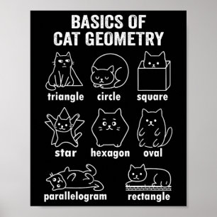 Funny Bysics Of Cat Geometry Byck To School Math T Poster