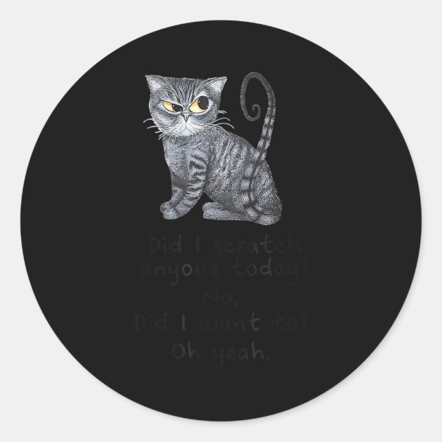 Funny Ca_ Sarcastic Cat Did I Scratched Anyone Tod Classic Round Sticker (Front)