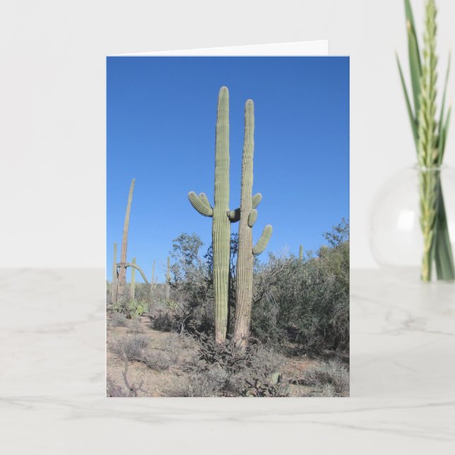Funny Cactus Anniversary Card (Front)