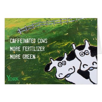 Funny Caffeinated Cows Card by ronaldyork at Zazzle