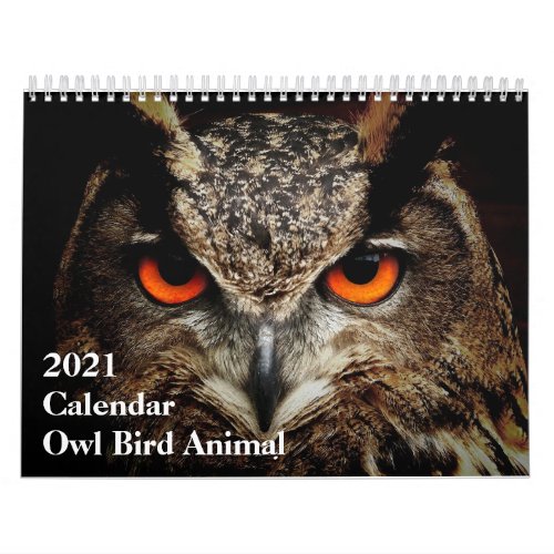 Funny Calendar Owl Bird Animal Calendar
