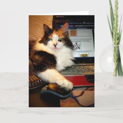 Funny Calico Cat Greeting Card