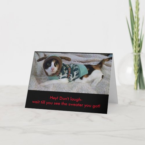 funny calico cat in antler sweater Chrismas card