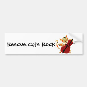 Funny Calico Cat Playing Cello Art Cartoon Bumper Sticker