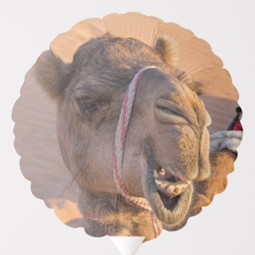 Funny Camel Balloon