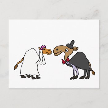 Funny Camel Bride And Groom Wedding Cartoon Postcard by AllSmilesWeddings at Zazzle