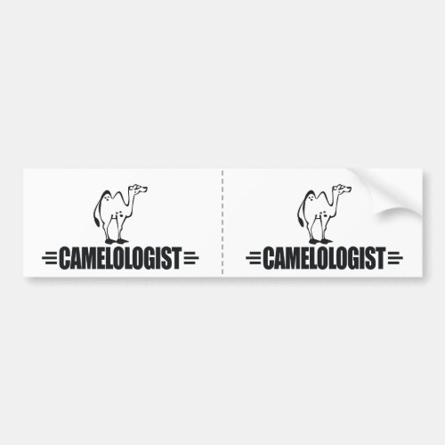 Funny Camel Bumper Sticker