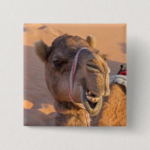 Funny Camel Button