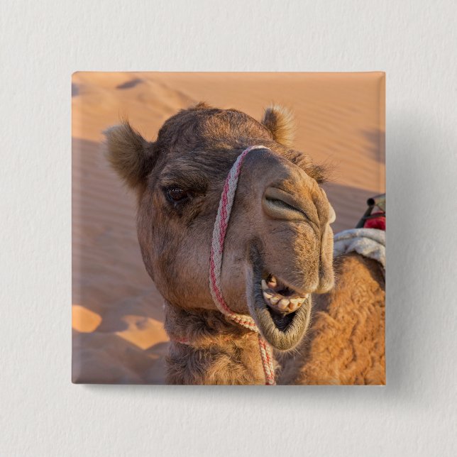 Funny Camel Button (Front)