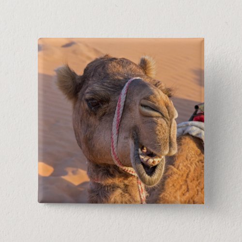 Funny Camel Button