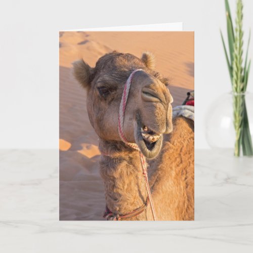 Funny Camel Card