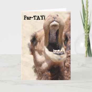 Funny Camel Card  Par-tay Like Its Your Birthday! Card by PicturesByDesign at Zazzle